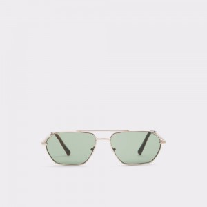 Aldo Daliwien Sunglasses Güneş Gözlüğü Erkek Altın | UKXO65241