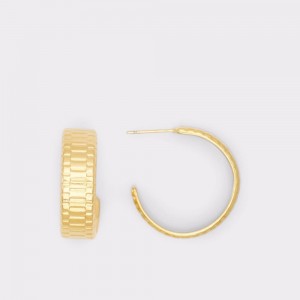Aldo Lothoa earrings Fine Jewelry Kadın Altın | WRZI40587